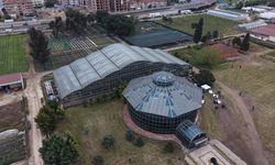 Türkiye’nin Bitki Hazinesi Yalova’da Korunuyor