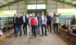 Bu yıl da vatandaşın tercihi Güleç Kardeşler oldu