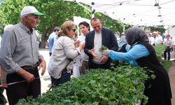 Çiftlikköy’e 40 Bin Fide Desteği