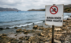 Yalova’da Kirlilik Nedeniyle İki Plaj Yüzmeye Kapatıldı