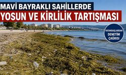 Sahillerde Temizlik Tartışması Büyüyor
