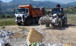 Yalova Belediyesi’nden Çevre Kirliliğine Karşı Kararlı Mücadele