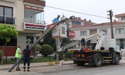 Çiftlikköy Caddeleri Modern Aydınlatmalarla Donatılıyor