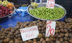 Yalova’da Sebze ve Meyve Fiyatları Düşüşte