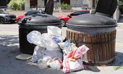 Yalova’da Çevreye Duyarsızlık Devam Ediyor
