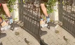 Çiftlikköy’de Kapıya Sıkışan Kirpi İçin Seferber Oldular