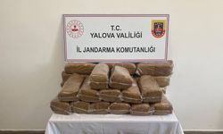 Yalova'da 160 Kilo Kaçak Tütün Ele Geçirildi