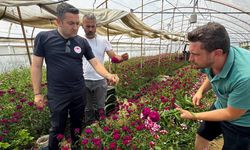 İl Müdürü İlmeç'ten Çiçek Üreticisine Yerinde Destek