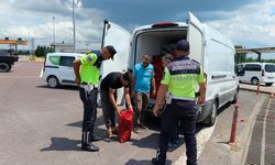 Yalova’da 3 Ton Kaçak Midye Ele Geçirildi