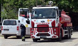 Yalova’da Meyve Bahçesinde Çıkan Yangın Söndürüldü