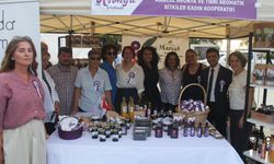 3. Yalova Aronya Festivali Başlıyor