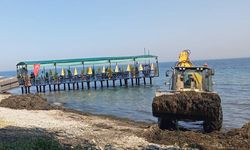 Çınarcık Belediyesi'nden Kıyılarda Yosun Temizliği