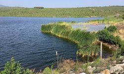 Armutlu Barajı’ndan Kötü Haber