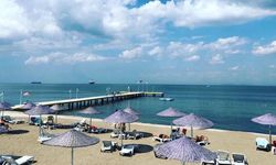 Yalova Sahillerinde Korkutan Tablo