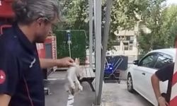 Yalova İtfaiyesi Minik Kedinin İmdadına Yetişti