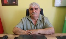 Yalova'da Yaban Domuzu Köylere İndi, Çiftçiler Endişeli!
