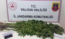 Yalova’da Madde Operasyonu