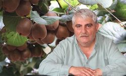 Altınova’da 1.700 Dekarlık Tarım Arazisi İçin Kritik Süreç