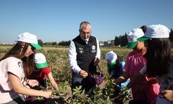 Bakan Işıkhan Yalova’da Aronya Hasadına Katıldı