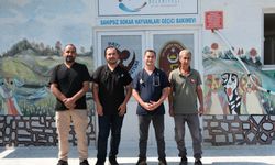 Çiftlikköy Belediyesi Sokak Hayvanlarının Yanında