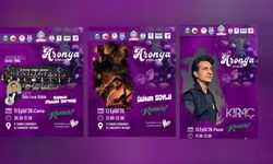 Yalova Aronya Festivali Başlıyor