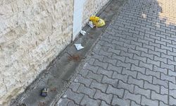 Yalova’da Çöpü Yol Kenarına Bırakıp Gitti