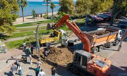 Yalova’da Atatürk’ün Çınar Mirası Korunarak Geleceğe Taşınıyor