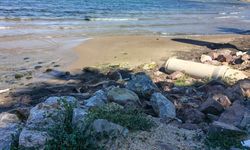 Yalova’da Deniz Çekildi Endişe Arttı