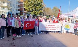 Çınarcık’ta Meme Kanserine Karşı Farkındalık Yürüyüşü Gerçekleşti