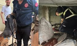 Yalova İtfaiyesinden Can Dostlara Şefkat Eli