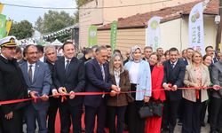 Yalova 12. Kivi Festivali Başladı