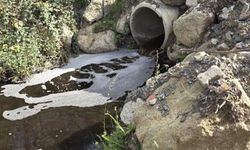 Yalova’da Deniz Kirliliğine 5 Milyon Liralık Ceza