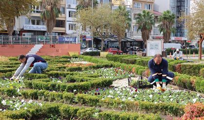 Yalova Çiçek Açıyor