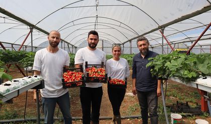 Kahvaltı Masasından 30.000 Fideli Seraya