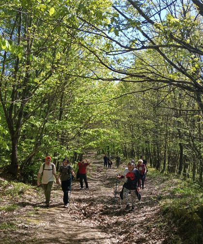 Doğada Bir Gün Ekibinden Orhangazi Çıkarması: Baharın Keyfini Çıkardılar