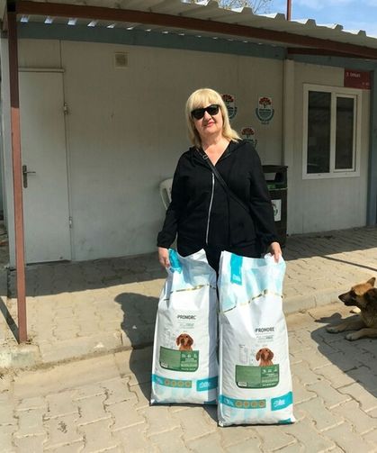 Sinem Tozun Sözünü Tuttu: Mama Bağışı Yaptı