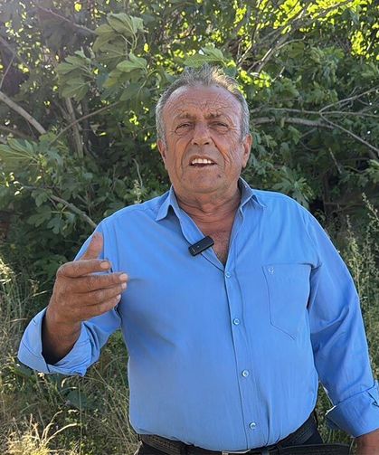 Yalova’nın Kırmızı Altını Tezgahlara İniyor