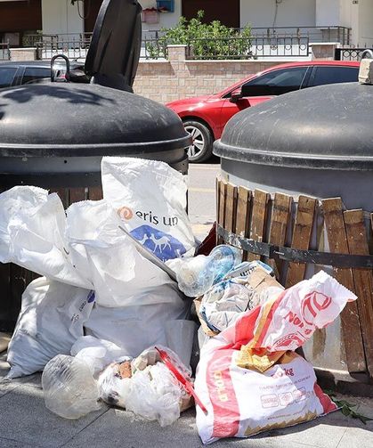 Yalova’da Çevreye Duyarsızlık Devam Ediyor