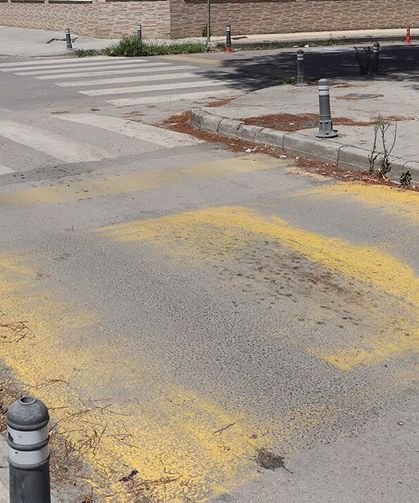 Yalova’ da Solan Kasis Boyaları Güvenlik Riski Oluşturuyor