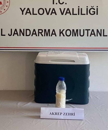 Yalova'da 5 Milyon Dolarlık Akrep Zehri Ele Geçirildi