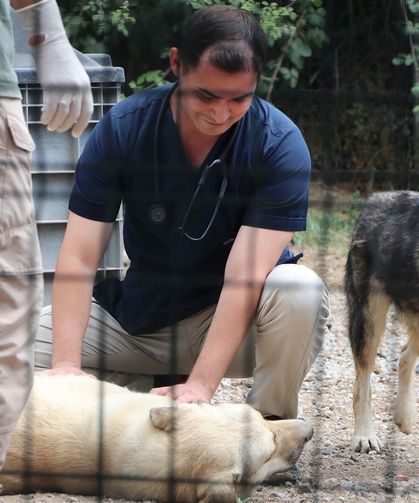 Çiftlikköy’de Sokak Hayvanları İçin Seferberlik