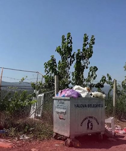 Yalova’da Yaşayan Sosyal Medya Fenomeninden Çöplere Tepki