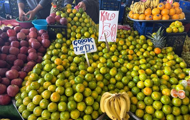 Yalova’da Sebze ve Meyve Fiyatları Güncellendi
