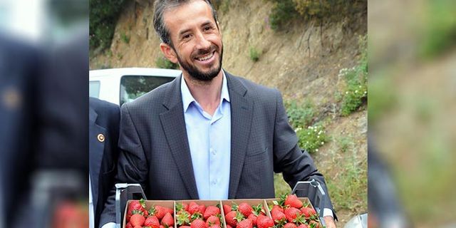 Sermayecik Çileği Üreticisinin Yüzünü Yine Güldürdü