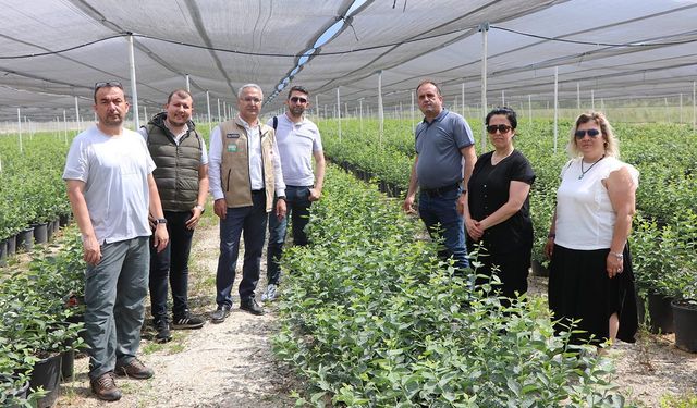 Yalova İl Tarım’dan, Agromını Bahçelerini Ziyaret