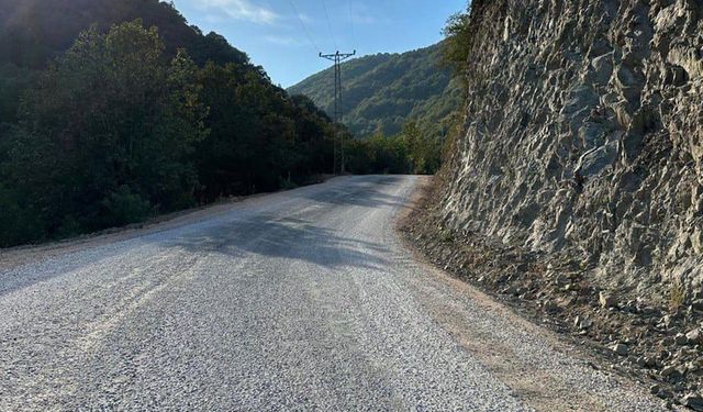 Delmece Yayla Yolu Hizmete Açıldı