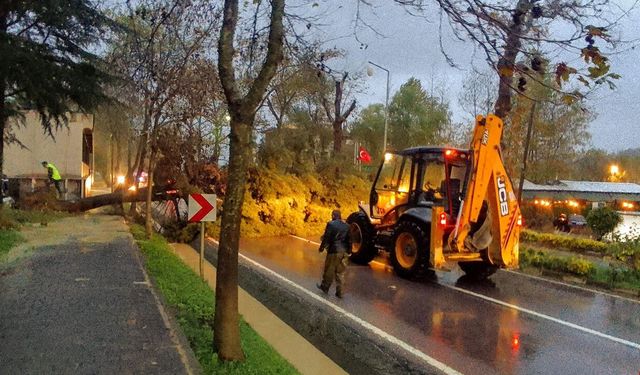 Termal Yolunda Faciadan Kıl Payı Kurtulduk!