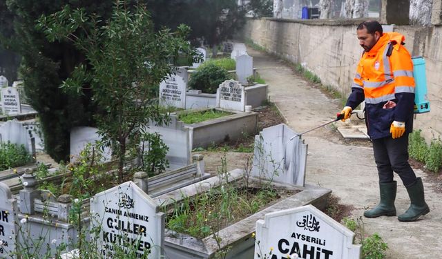 Mezarlıklarda Yabani Otla Mücadele Devam Ediyor