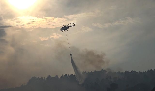 Yalova'da Orman Yangınında 25 Hektar Zarar Gördü