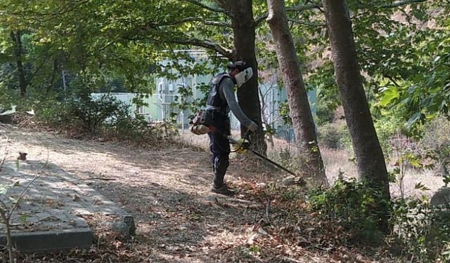 Armutlu Belediyesi Çevreyi Korumaya Devam Ediyor